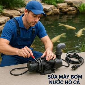 Sửa máy bơm hồ cá, hồ bơi